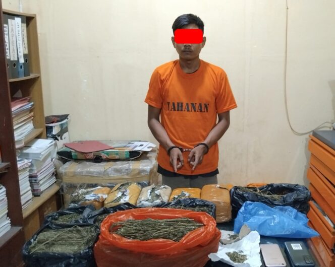 
 Polsek Tualang bekuk seorang Pemuda di Perawang yang akan mengedarkan 7Kg Ganja